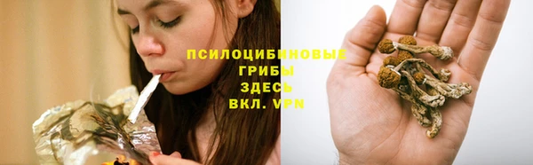 PSILOCYBIN Нягань
